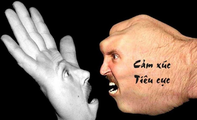 Hocala.xyz