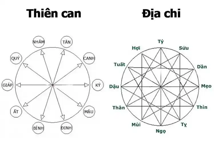 hocala - 10 Thiên can và 12 Địa chỉ. Ảnh: dienmaycholon